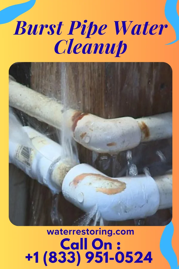 Burst Pipe Water Cleanup in Munsey Park, NY