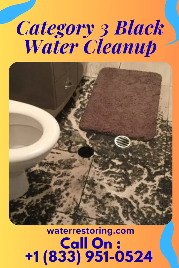 Category 3 Black Water Cleanup in Munsey Park, NY