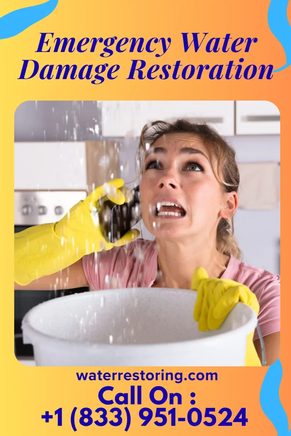Emergency Water Damage Restoration in Munsey Park, NY