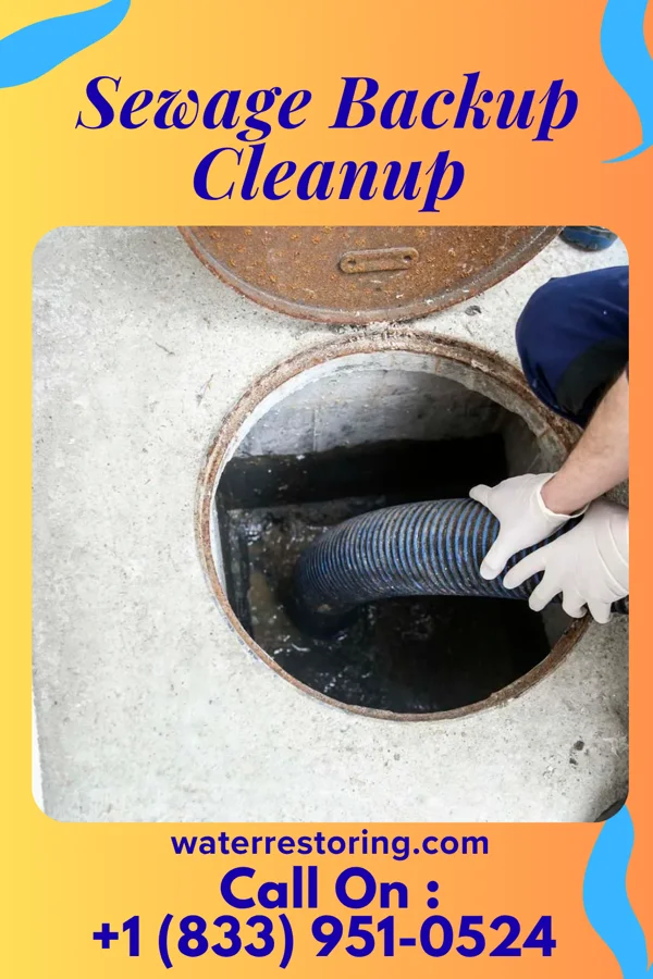 Sewage Backup Cleanup in Munsey Park, NY